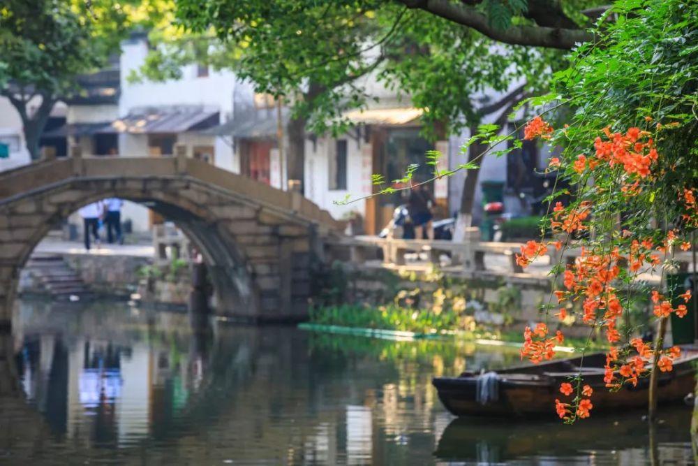 机智问答网页-不考虑收入时,你最想干什么?专业解答